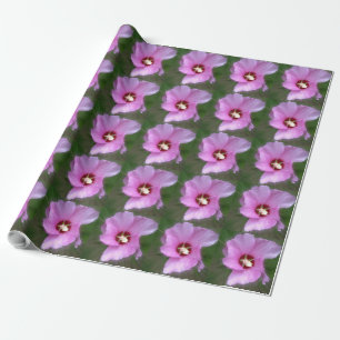 Papier Cadeau Hibiscus rose, Art numérique