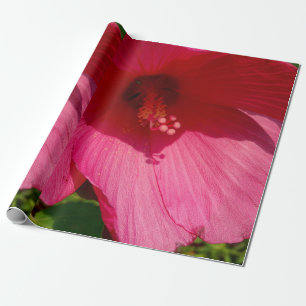 Papier Cadeau Hibiscus rose Photo Papier d'enveloppement de lin