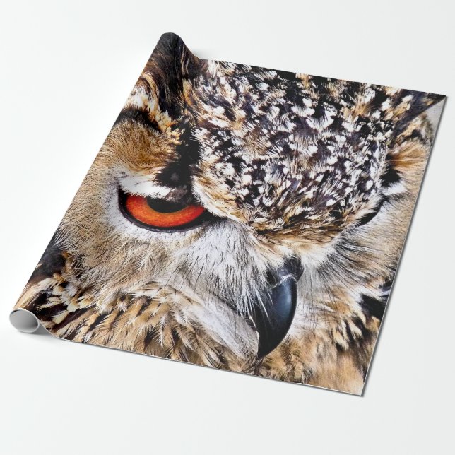 PAPIER CADEAU HIBOU (Déroulé)