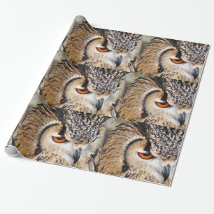 PAPIER CADEAU HIBOU