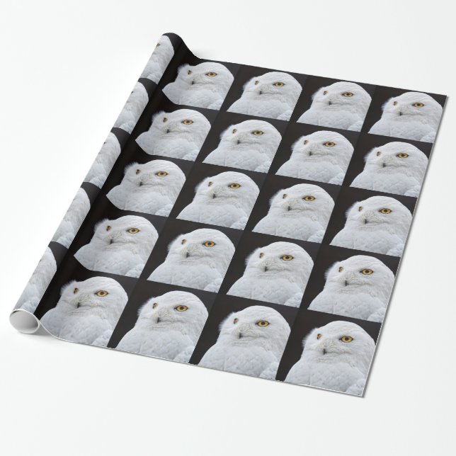 Papier Cadeau Hibou blanc (Déroulé)
