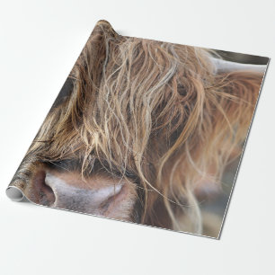 PAPIER CADEAU HIGHLAND CHÂTEAU VACHE FACE