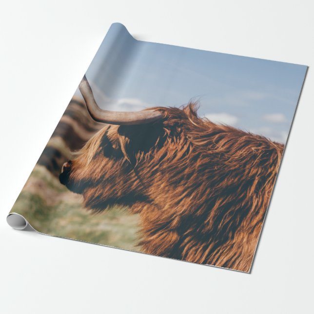 PAPIER CADEAU HIGHLAND VW (Déroulé)