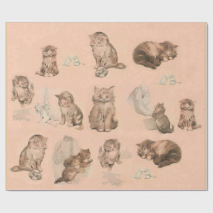 PAPIER CADEAU HISTOIRES DE CHAT DE CUISINE AMUSANTE EN ROSE