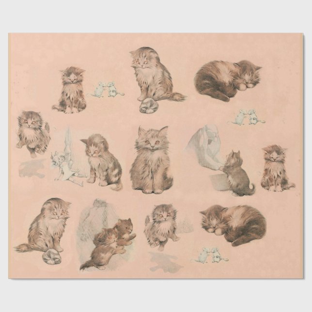 PAPIER CADEAU HISTOIRES DE CHAT DE CUISINE AMUSANTE EN ROSE (Plat)