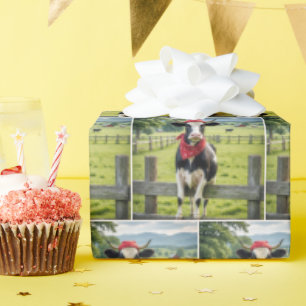 Papier Cadeau Holstein sur une clôture agricole