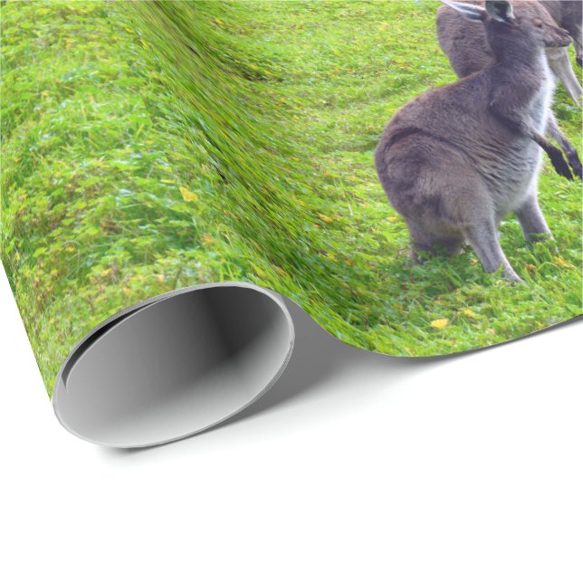 Papier Cadeau Horizons sans limites : Kangaroos gris sur la plai (Coin rond)