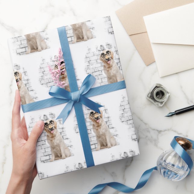 Papier Cadeau Humour Golden Retriever (Cadeaux)