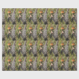 Papier Cadeau Huppe fasciée nourrissant un jeune