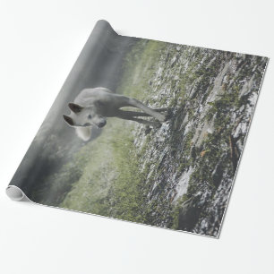 Papier Cadeau Husky Sibérien Blanc