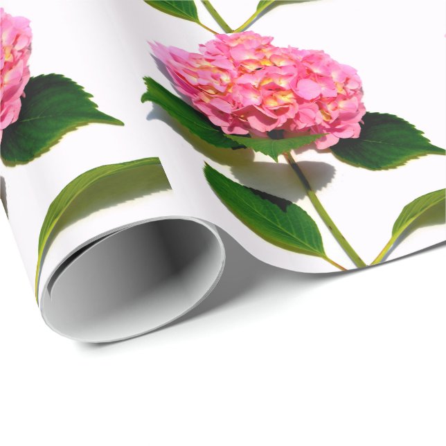 Papier Cadeau Hydrangée rose rose fleur rose (Coin rond)