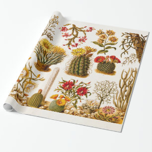 Papier Cadeau Illustration 1911 florale de fleur de cactus de