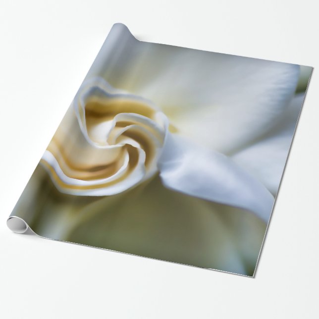 Papier Cadeau Illustration blanche de gardénia (Déroulé)