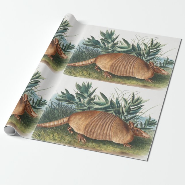 Papier Cadeau Illustration d'Armadillo (Dasypus Peba) à neuf ban (Déroulé)