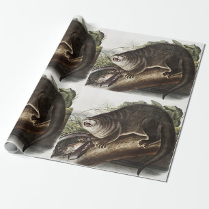 Papier Cadeau Illustration de Canada Otter (Lutra Canadensis)