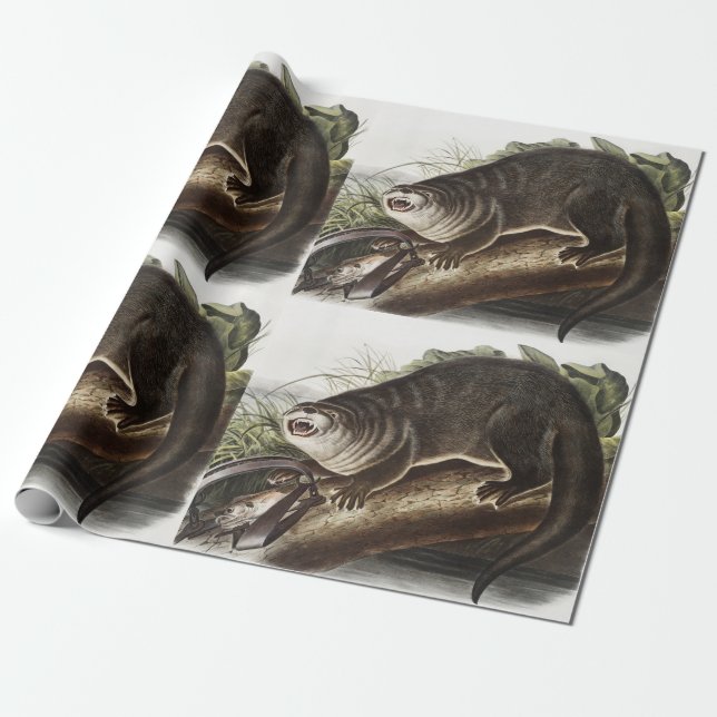 Papier Cadeau Illustration de Canada Otter (Lutra Canadensis) (Déroulé)