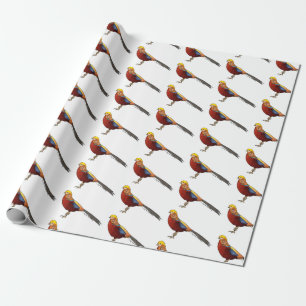 Papier Cadeau Illustration d'oiseau de faisan doré