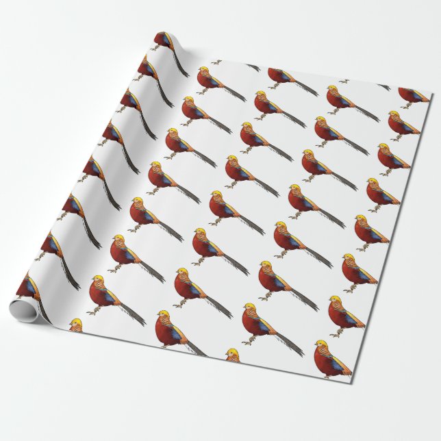Papier Cadeau Illustration d'oiseau de faisan doré (Déroulé)