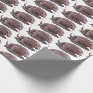 Papier Cadeau Illustration du dragon de Komodo