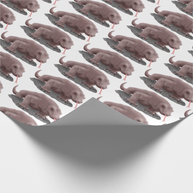 Papier Cadeau Illustration du dragon de Komodo (Coin)