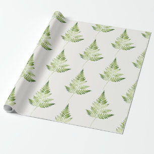 Papier Cadeau Illustration végétale minimaliste de la fougère ve