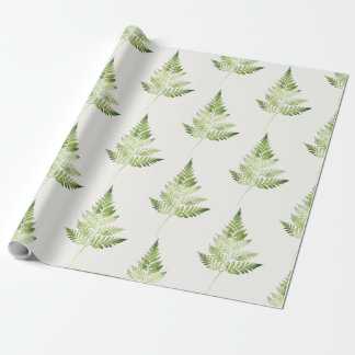 Papier Cadeau Illustration végétale minimaliste de la fougère ve