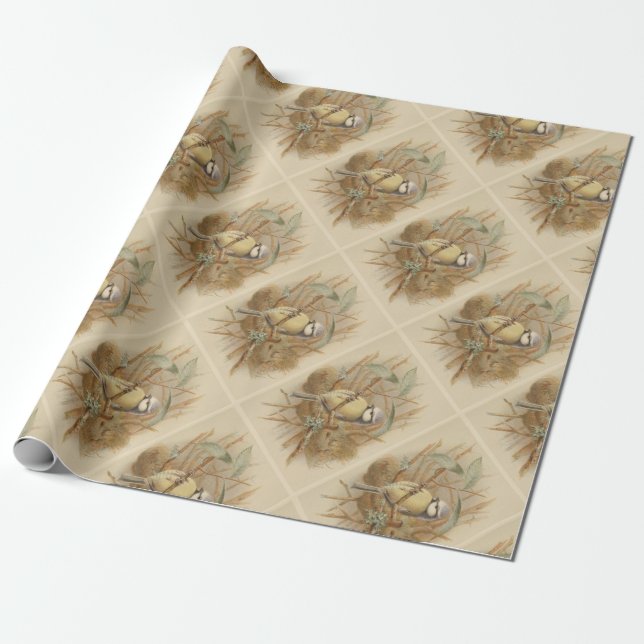 Papier Cadeau Illustration vintage de mésange bleue (Déroulé)
