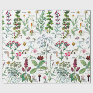 Papier Cadeau Illustrations botaniques Papier d'enveloppement