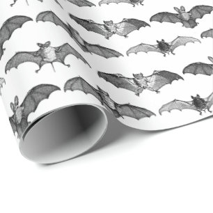 Papier Cadeau Illustrations détaillées de chauves-souris sur fon