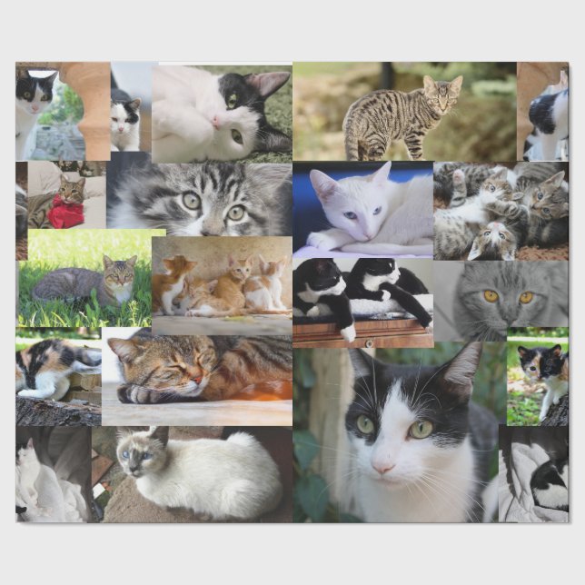 Papier Cadeau Image de différents chats (Couture)