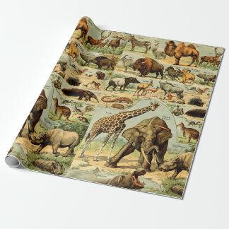 Papier Cadeau Impression d'animaux vintage faune africaine