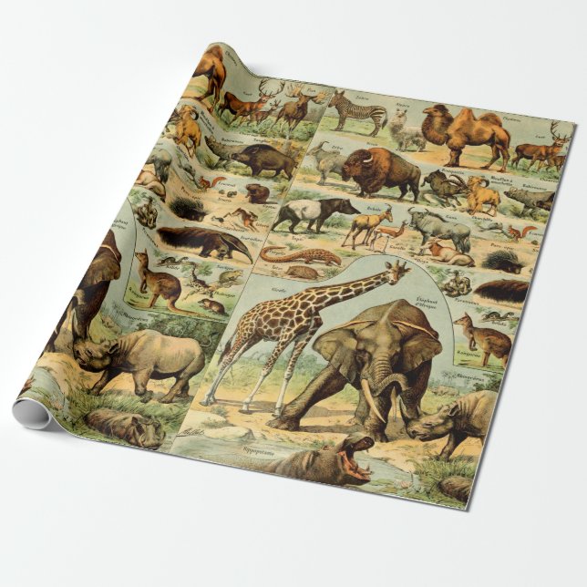 Papier Cadeau Impression d'animaux vintage faune africaine (Déroulé)