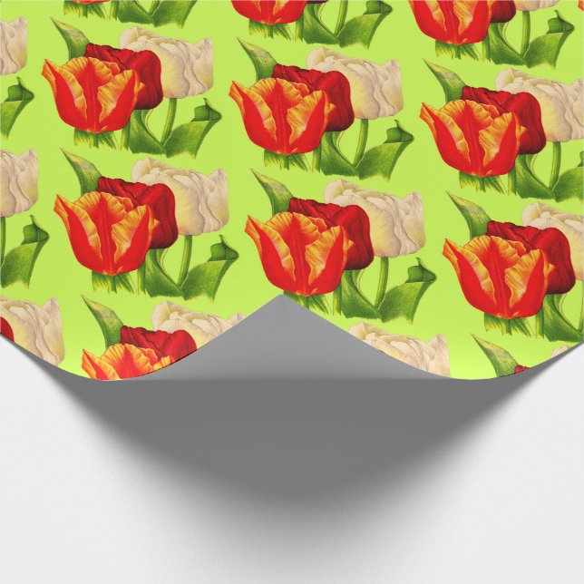 Papier Cadeau impression des tulipes (Coin)