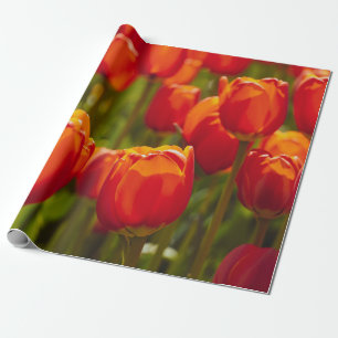 Papier Cadeau Impression photographique de tulipes rouges. aiman