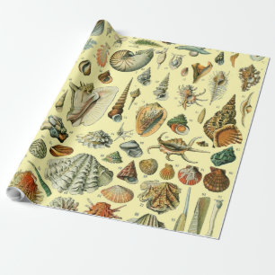 Papier Cadeau Impression vintage de coquillages d'Adolphe Millot