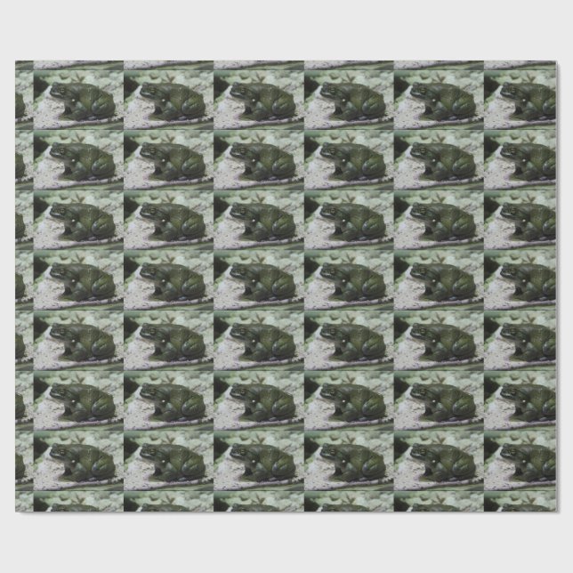 Papier Cadeau Incilius alvarius (Plat)