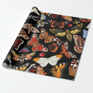 Papier Cadeau Insecte un motif transparent