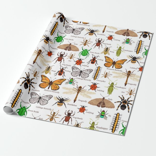 Papier Cadeau Insectes (Déroulé)