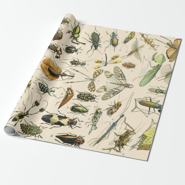 Papier Cadeau Insectes et bogues (Déroulé)