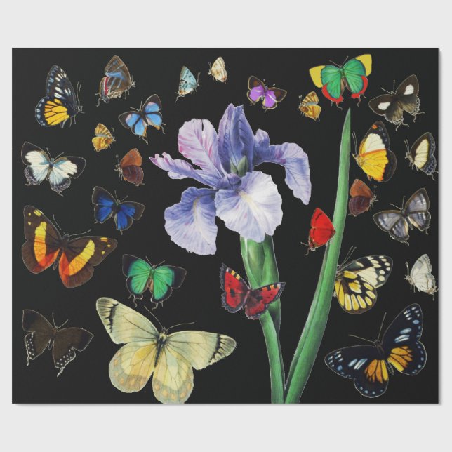 Papier Cadeau IRIS PARMI LES BÂTIMENTS COLORÉS Floral Noir (Plat)