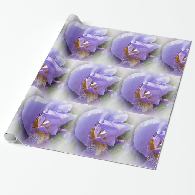 Papier Cadeau iris pourpre (Déroulé)