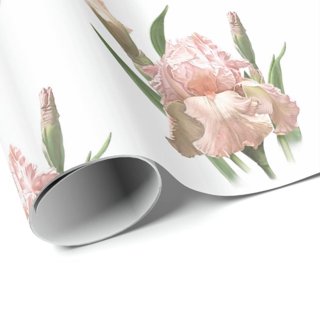 Papier Cadeau Iris Rose Pâle (Coin rond)