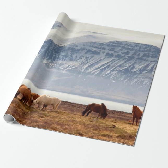 PAPIER CADEAU ISLANDE (Déroulé)