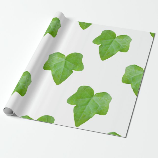 Papier Cadeau Ivy Leaf Motif (Déroulé)
