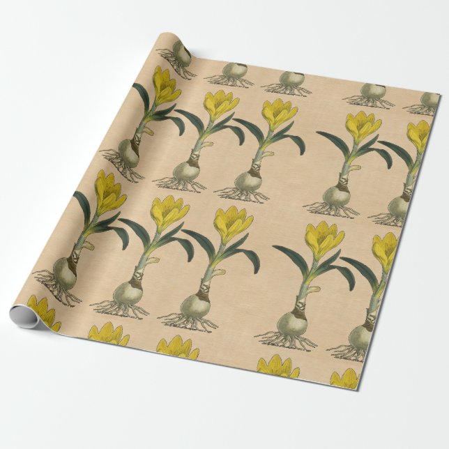 Papier Cadeau Jardin botanique de tulipe Amaryllis Fleur (Déroulé)