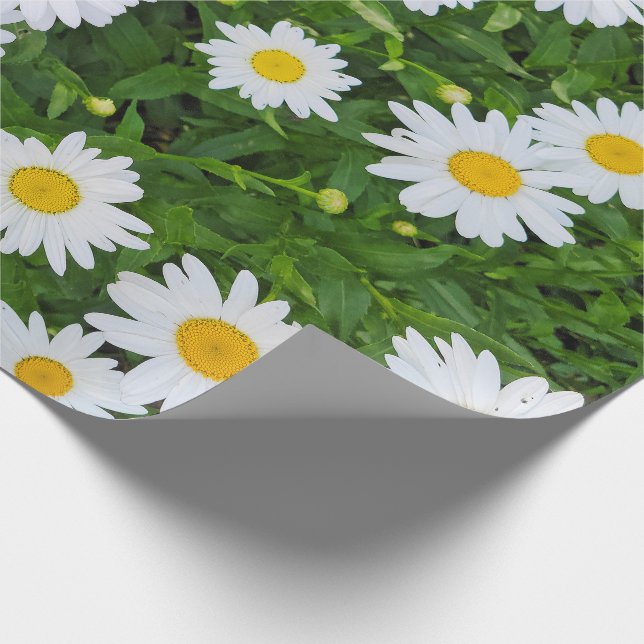 Papier Cadeau Jardin de marguerite d'été blanc (Coin)