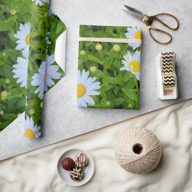 Papier Cadeau Jardin de marguerites blanches  (Artisanat)