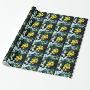 Papier Cadeau Jaune Daffodils fleurs dans la neige