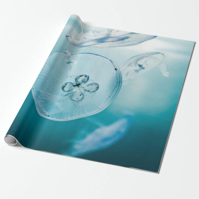 PAPIER CADEAU JELLYFISHES SOUS L'EAU (Déroulé)