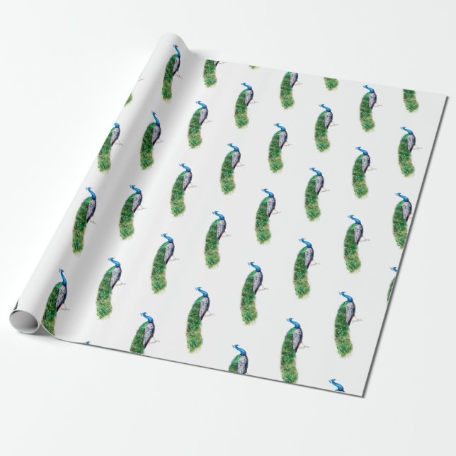 Papier Cadeau Joli Peacock (Déroulé)